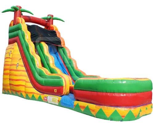 19' Palm Slide (DRY ONLY)