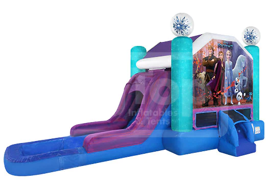 Frozen 2 Combo wet or dry